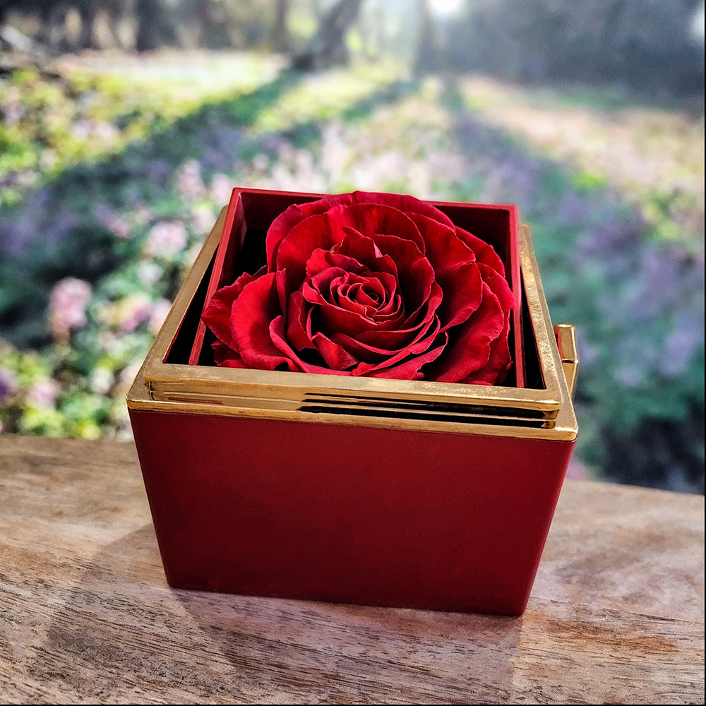 Mom - Forever Rose - Love Knot