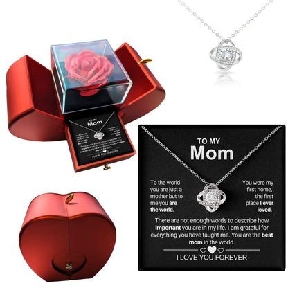 Forever Rose - Necklace & Message Gift Set